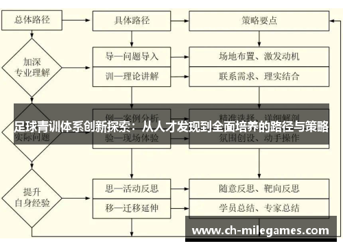 足球青训体系创新探索：从人才发现到全面培养的路径与策略