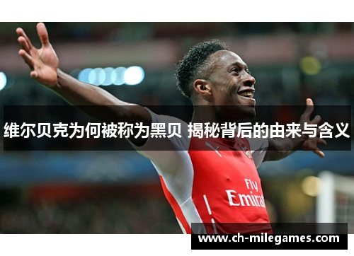 维尔贝克为何被称为黑贝 揭秘背后的由来与含义